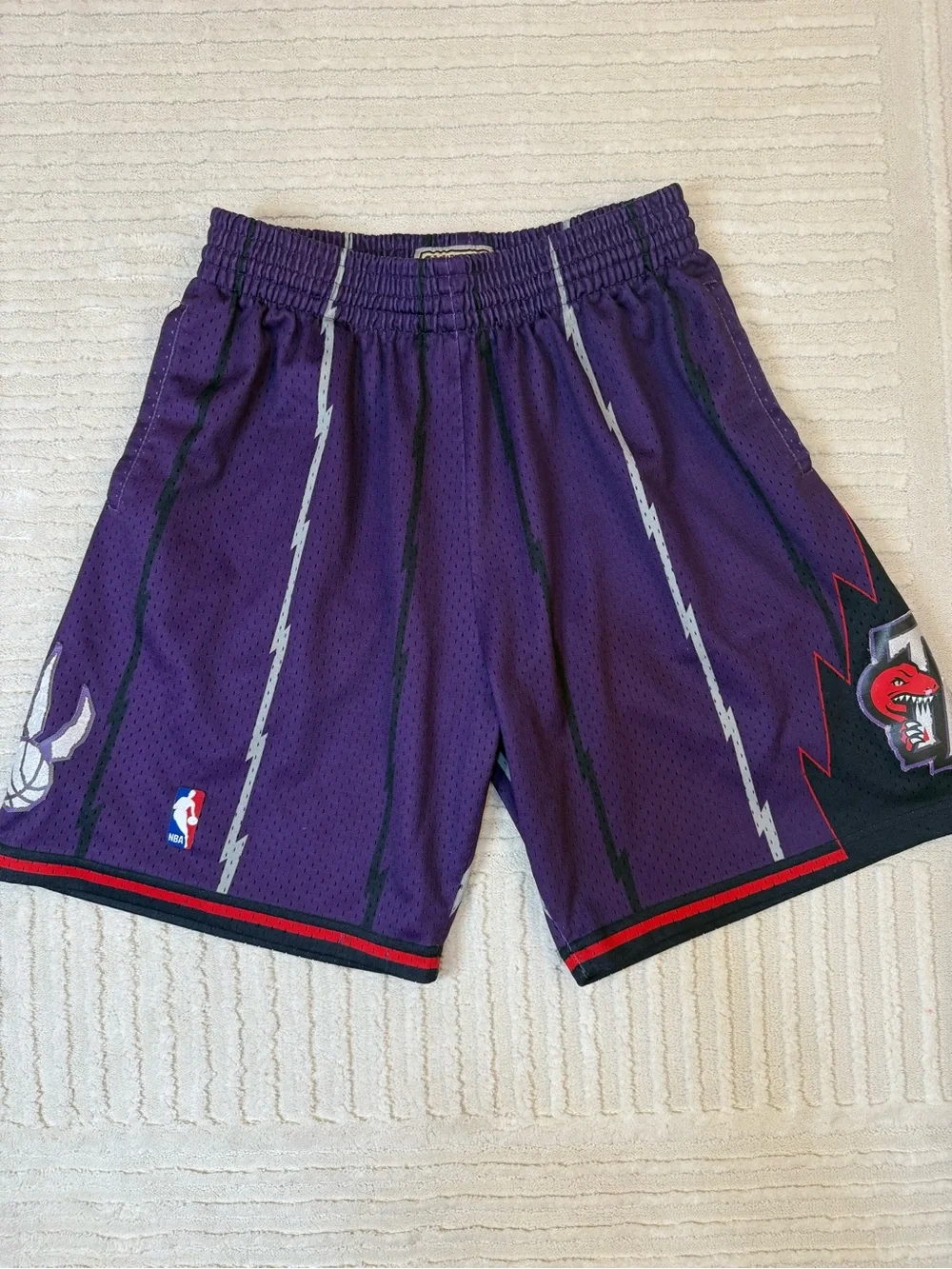 Mitchell & Ness Toronto Raptors 1998 Swingman Shorts Purple Size Large NBA HWC